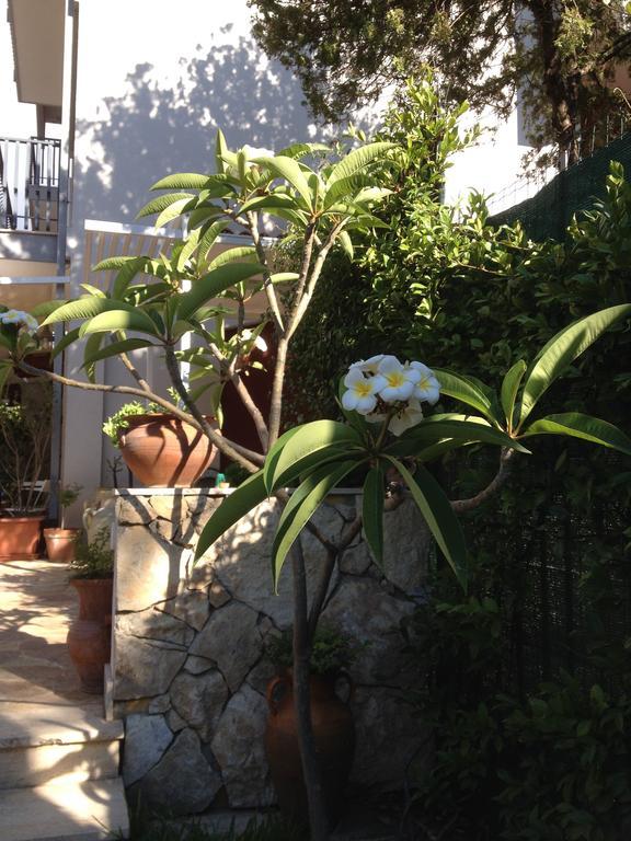 Il Giardino Dei Limoni Panzió Aci Castello Kültér fotó
